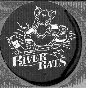hockeypuck.jpg