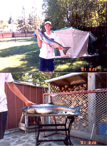 mysalmon.jpg